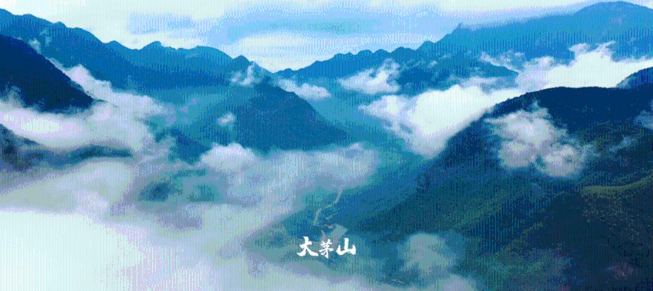 贴窗花　公交车厢年味浓